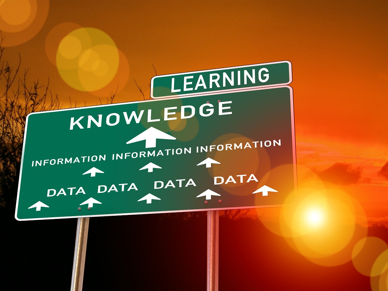 sign, transport panel, board, direction, data, information, knowledge, to learn, arrangement, components, collage, determination, research, combine, combination, proficiency, awareness, training, insight, experience, scholarship, certainty, wisdom, know how, life experience, insight, experience, experience, scholarship, scholarship, scholarship, scholarship, scholarship